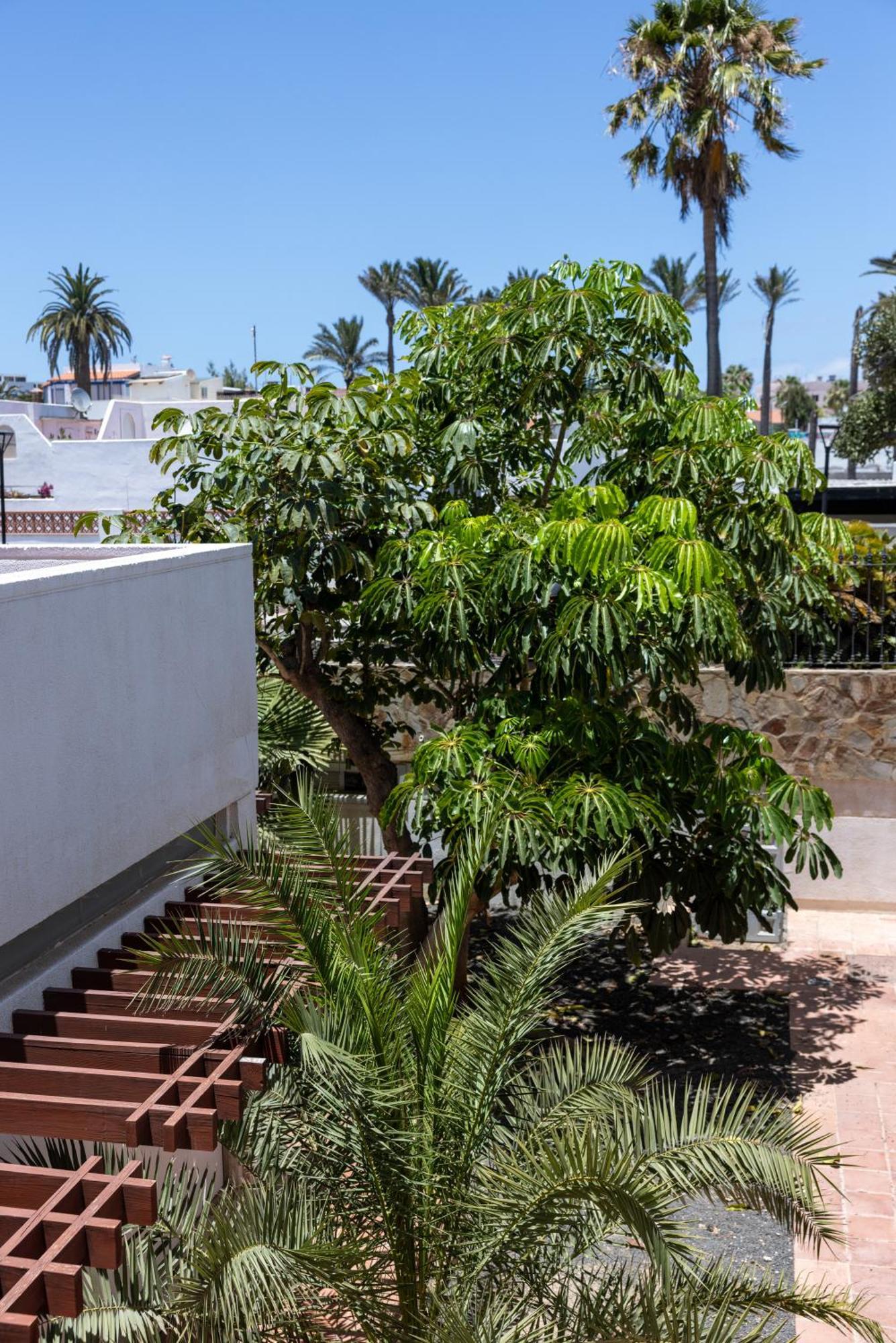Fuentepark Apartments Corralejo Exterior photo